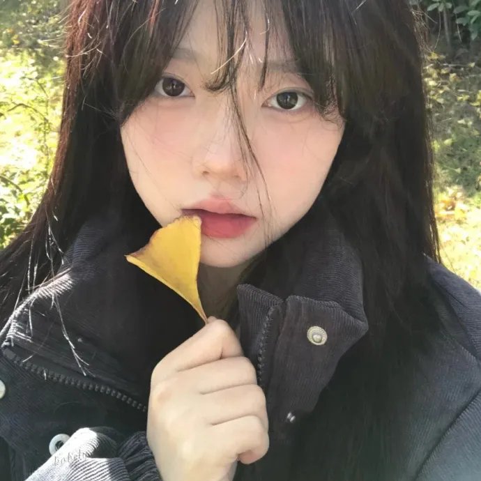 我顿悟了混沌体