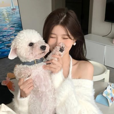 共和国血脉